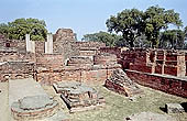 The archeologica excavations of the site of Sarnath 